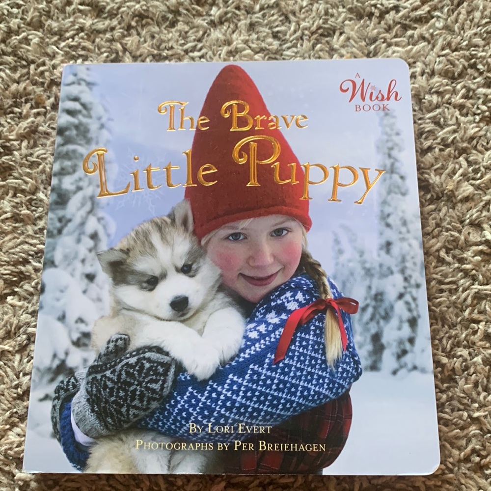 The brave little puppy